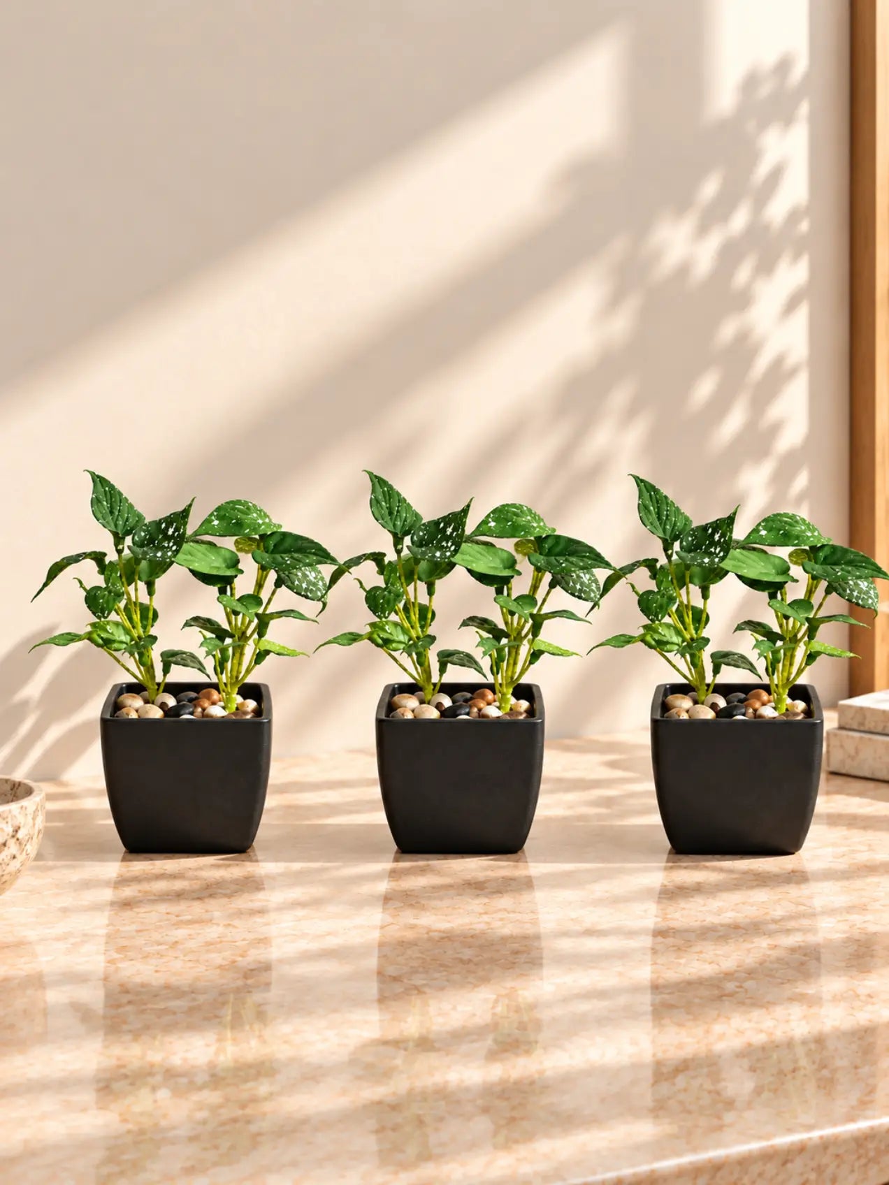 Artificial Money Plant Succulent | Small Green Leaves | 18 cm | Set of 3 | With Basic Black Pot