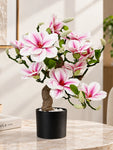 Mini Magnolia Flower Tree | Pink | 52 cm