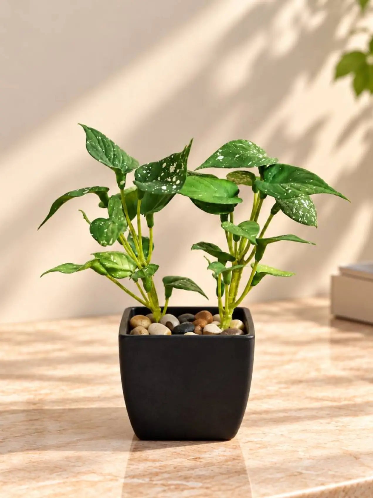 Artificial Money Plant Succulent | Small Green Leaves | 18 cm | With Basic Black Pot