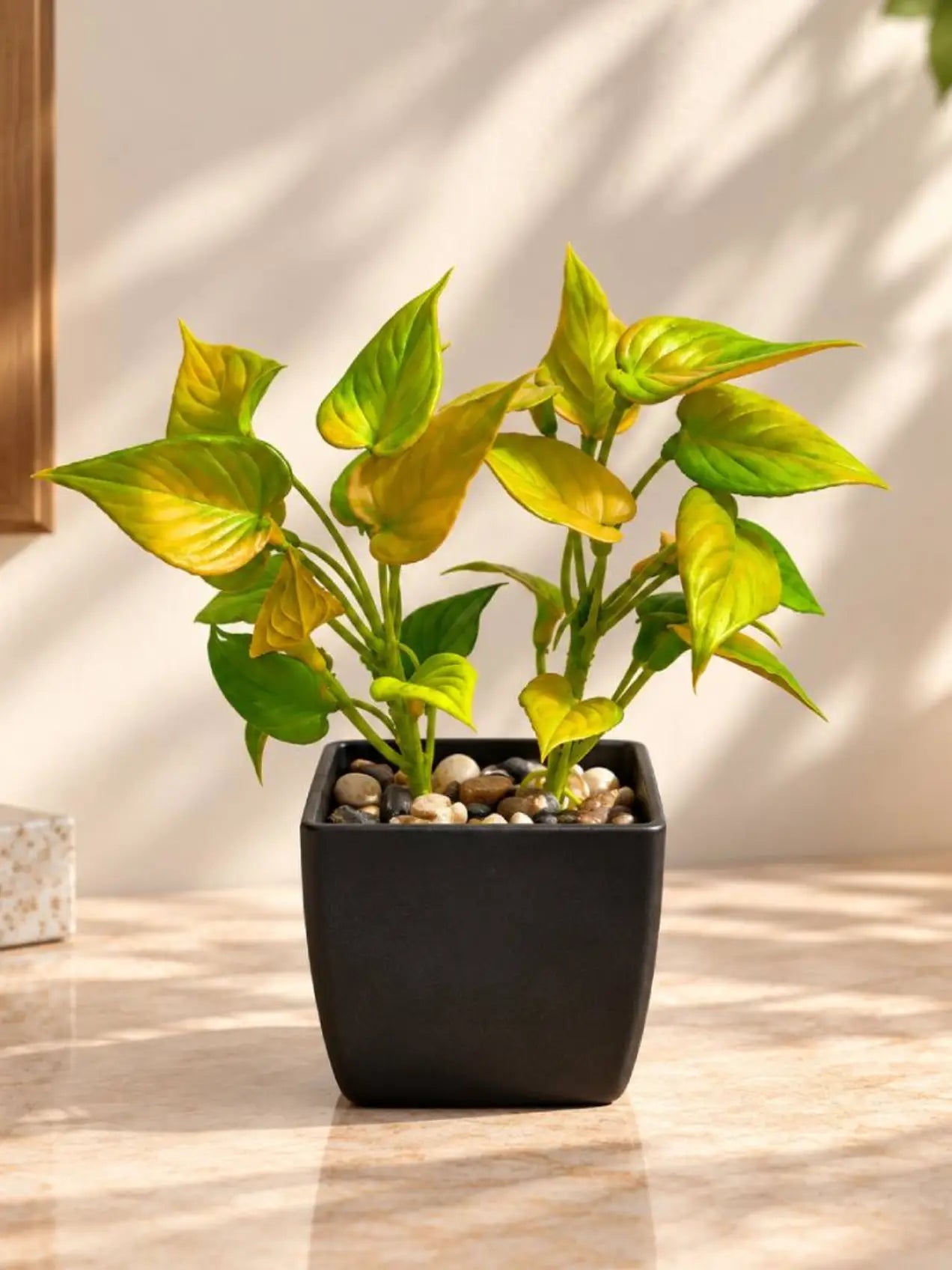 Artificial Money Plant Succulent | Army Green | 18 cm | With Basic Black Pot