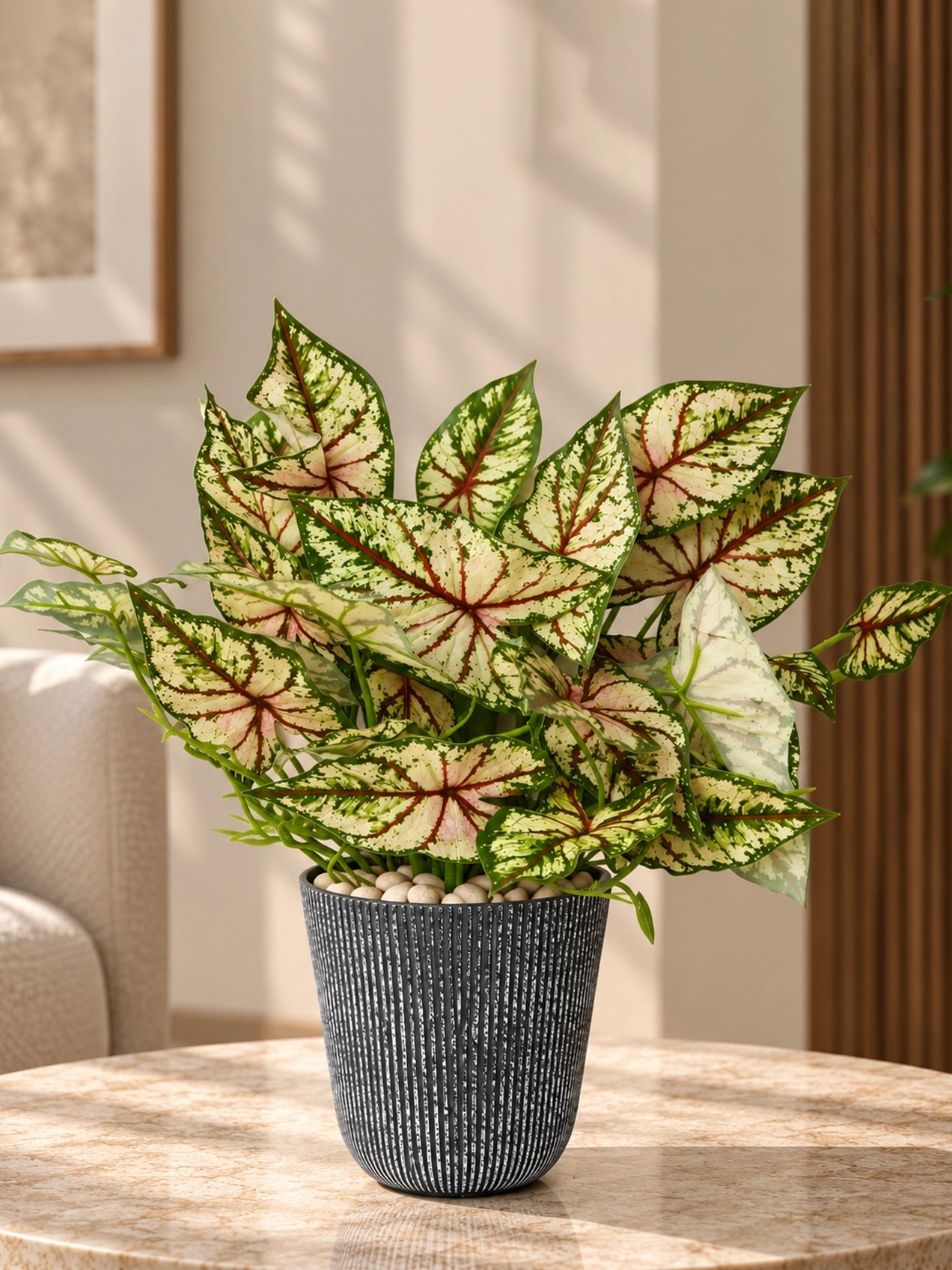 Boho Bliss Artificial Caladium Plant | Lime Green & Red Patterned Leaves | 35 cm | With Basic Pot