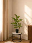 Artificial Ivory Yellow Croton Plant | 74 cm | 26 Leaves | With Basic Pot