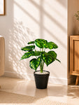 Artificial Philodendron Plant | Patterned Green Leaves | 50 cm | 12 Leaves | With Basic Pot