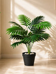 Artificial Areca Palm Plant | 57 cm | 12 Leaves | With Basic Pot