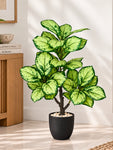 Artificial Dieffenbachia Honeydew Plant | 90 cm | 33 Leaves | With Basic Pot