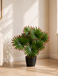 Artificial Fan Palm Plant | Patterned Green & Red Leaves | 52 cm | 12 Leaves | With Basic Black Pot