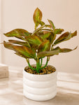 Artificial Tabletop Plant | Light Green | 22 cm