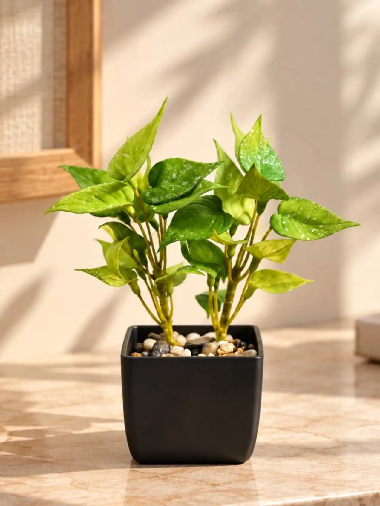 Artificial Money Plant Succulent | Light Green | 18 cm | With Basic Black Pot