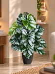 Artificial Tropical Caladium Plant | Green & White Leaves | 70 cm | 18 Leaves | With Basic Pot