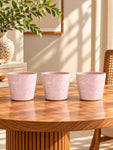 Modern Grace Poly Planter | Pink | 15 cm | Set of 3