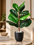 Artificial Fiddle-Leaf Fig Plant | Green Mix Leaves | 50 cm | 11 Leaves | With Basic Pot
