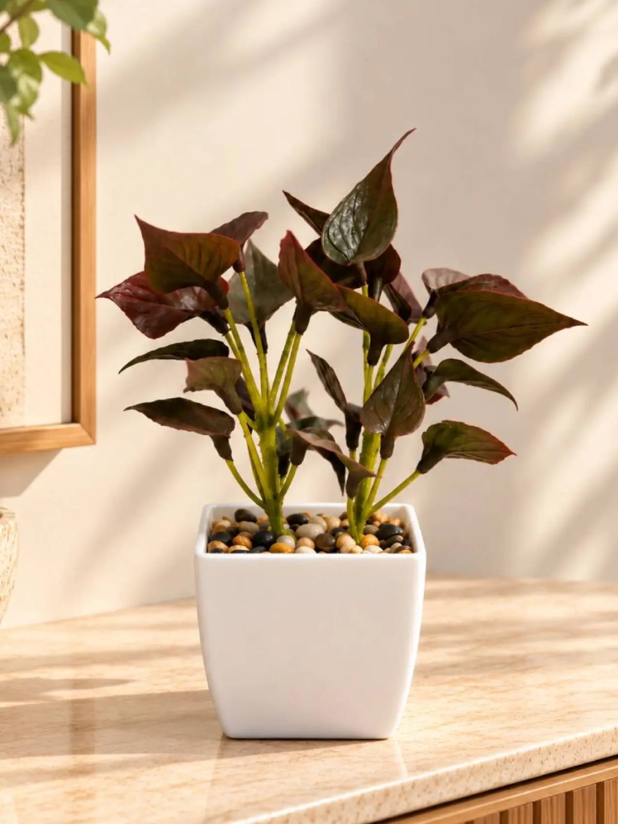 Artificial Money Plant Succulent | Maroon | 18 cm | With Basic Black Pot