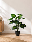 Artificial Philodendron Plant | Green & Yellow Leaves | 65 cm | 18 Leaves | With Basic Pot
