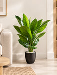 Artificial Jiamei Tourist Banana Plant | 100 cm | With Basic Pot