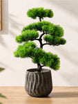 Bonsai Plant | 43 cm | Pointed Leaves | With Black Pot