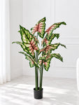 Tropical Beauty Artificial Caladium Plant | 138 cm | 10 Leaves