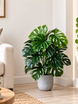Artificial Monstera Plant | Light Green Leaves | 65 cm | 18 Leaves | With Basic Black Pot