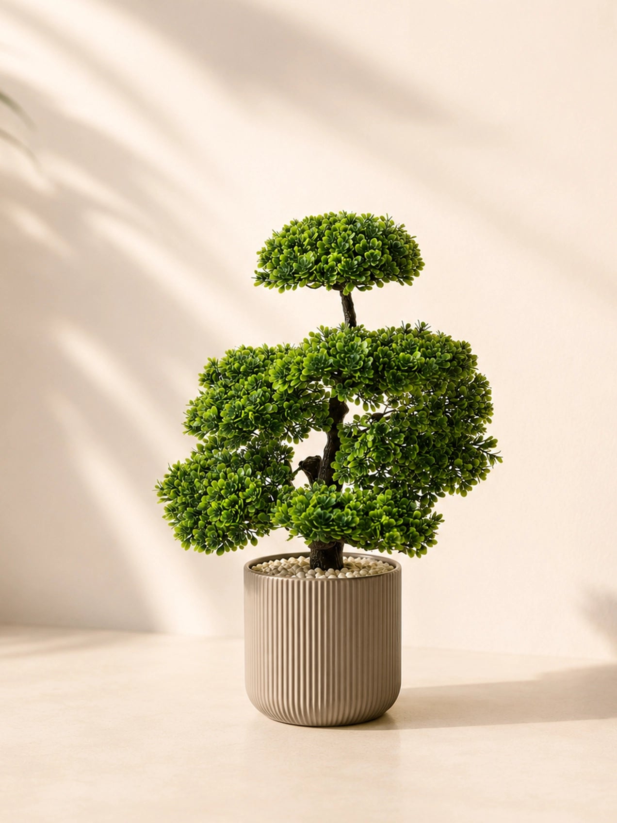 Bonsai Plant | 43 cm | Small Leaves | With Black Pot