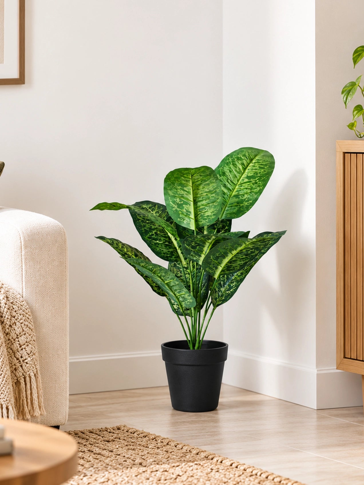 Artificial Dieffenbachia Plant | 63 cm | 12 Leaves | With Basic Pot