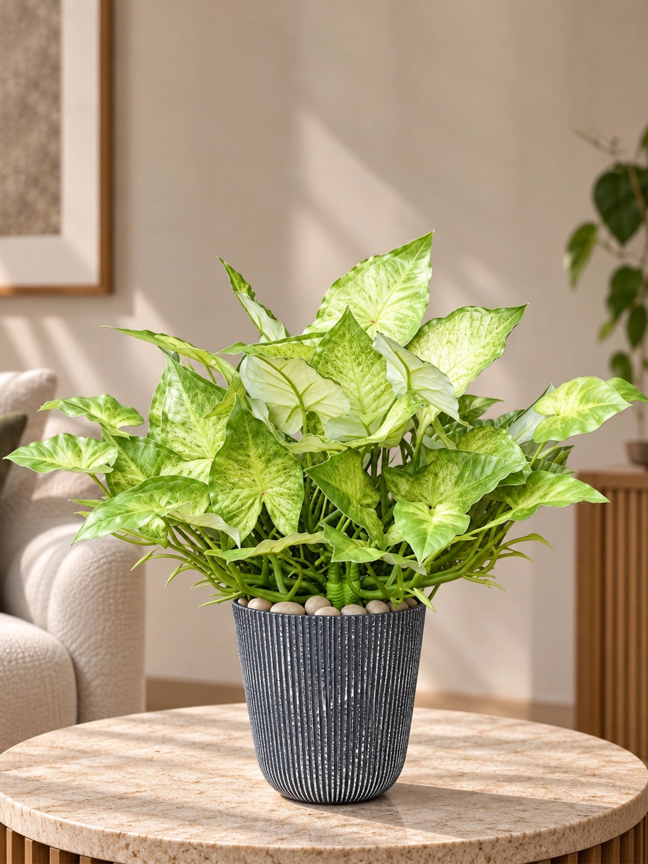 Boho Bliss Artificial Caladium Plant | Off-White & Green Patterned Leaves | 35 cm | With Basic Pot