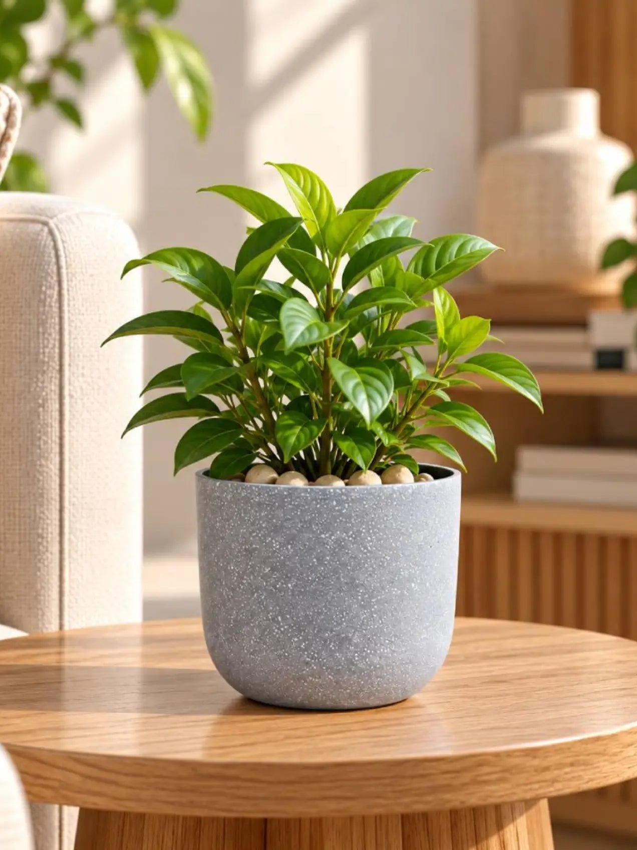 Round Base Fiber Pot | Grey | 10 cm