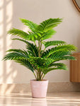 Modern Grace Poly Planter | Pink | 15 cm