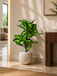 Artificial Dieffenbachia Seguine Plant | 66 cm | 15 Leaves | With Basic Pot