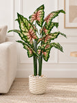 Tropical Beauty Artificial Caladium Plant | 138 cm | 10 Leaves