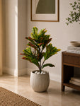 Artificial Croton Plant | 66 cm | 30 Leaves | With Basic Pot