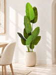 Artificial Banana Leaf Plant | 178 cm | With Basic Black Pot