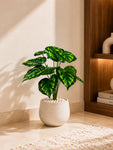 Artificial Philodendron Plant | Patterned Green Leaves | 50 cm | 12 Leaves | With Basic Pot