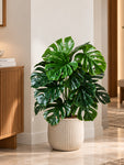 Artificial Monstera Plant | Light Green Leaves | 65 cm | 18 Leaves | With Basic Black Pot