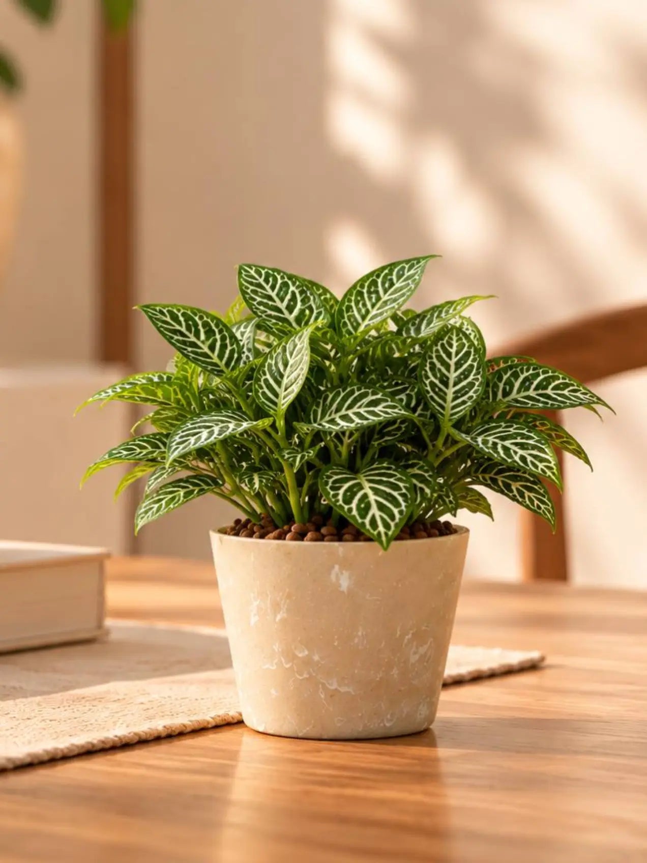 Modern Grace Poly Planter | Brown | 15 cm