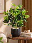 Artificial Golden Pothos Plant | 45 cm | With Basic Pot