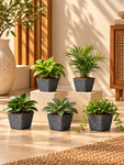 Coarse Textured Square Planter Pot | 13 cm | Set of 5