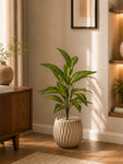 Artificial Ivory Yellow Croton Plant | 74 cm | 26 Leaves | With Basic Pot