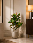 Artificial Aglaonema Plant | 66 cm | 43 Leaves