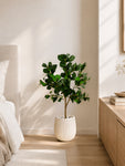Artificial Ficus Plant  | 90 cm  | With Basic Pot