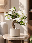 Mini Magnolia Flower Tree | White | 52 cm
