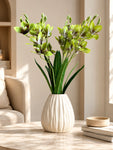 Artificial Cymbidium Orchid Flower Bunch | Green | 57 cm