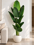 Artificial Banana Leaf Plant | 220 cm | With Basic Pot