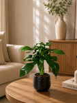 Artificial Tabletop Plant | Green | 25 cm | Ceramic Pot