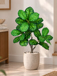 Artificial Dieffenbachia Seguine Plant | 90 cm | 33 Leaves | With Basic Pot