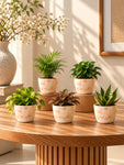 Vivid Tie-Dye Planter | Beige | 12 cm | Set of 5
