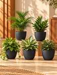 Black Round Planter | 17 cm | Set of 5