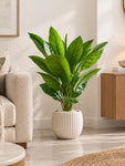 Artificial Jiamei Tourist Banana Plant | 100 cm | With Basic Pot