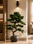 Premium Artificial Bonsai Plant | 88 cm | With Basic Pot