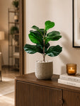 Artificial Fiddle-Leaf Fig Plant | Green Mix Leaves | 50 cm | 11 Leaves | With Basic Black Pot