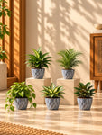 Diamond Pattern Round Planter | 13 cm | Set of 5