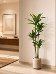 Premium Artificial Dracaena Plant | 140 cm | Green Stem Design | With Basic Pot